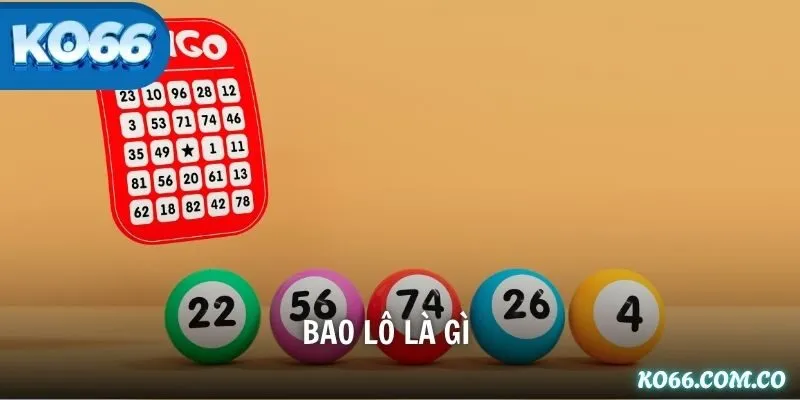 Bao Lô Là Gì? Toàn Tập Kiến Thức Cho Người Mới Bắt Đầu