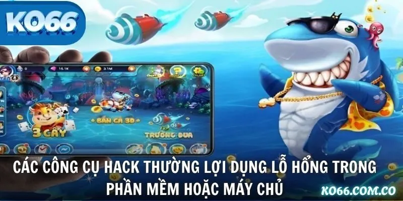 Các công cụ hack thường lợi dụng lỗ hổng trong phần mềm hoặc máy chủ