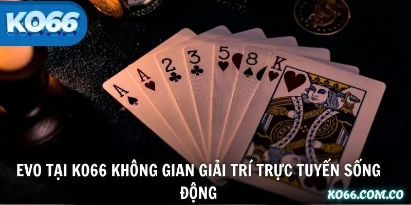 EVO tại KO66 không gian giải trí trực tuyến sống động