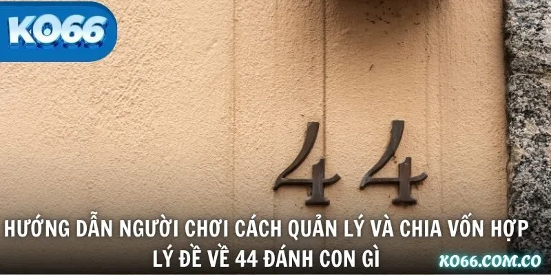 Hướng dẫn người chơi cách quản lý và chia vốn hợp lý đề về 44 đánh con gì