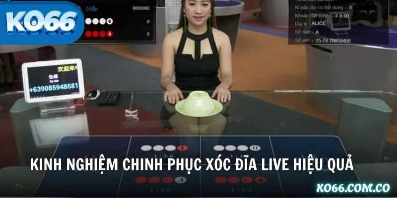 Kinh nghiệm chinh phục Xóc Đĩa Live hiệu quả