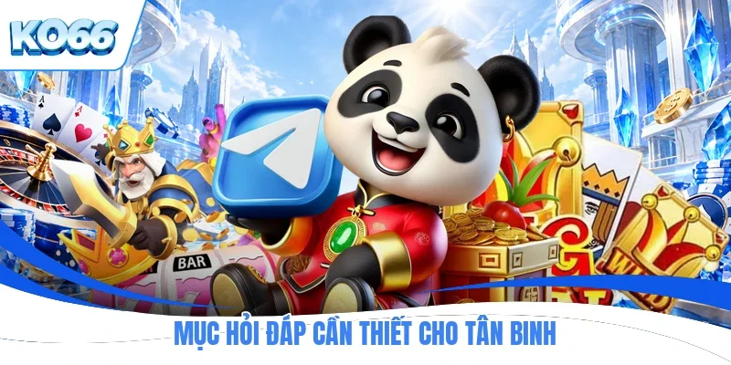 Mục hỏi đáp cần thiết cho tân binh